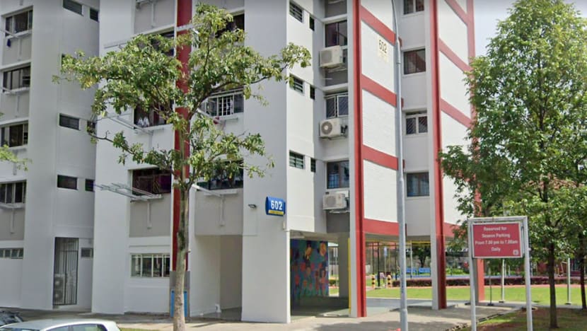 Clementi West death: Man charged with causing grievous hurt to teenage sister with wooden pole