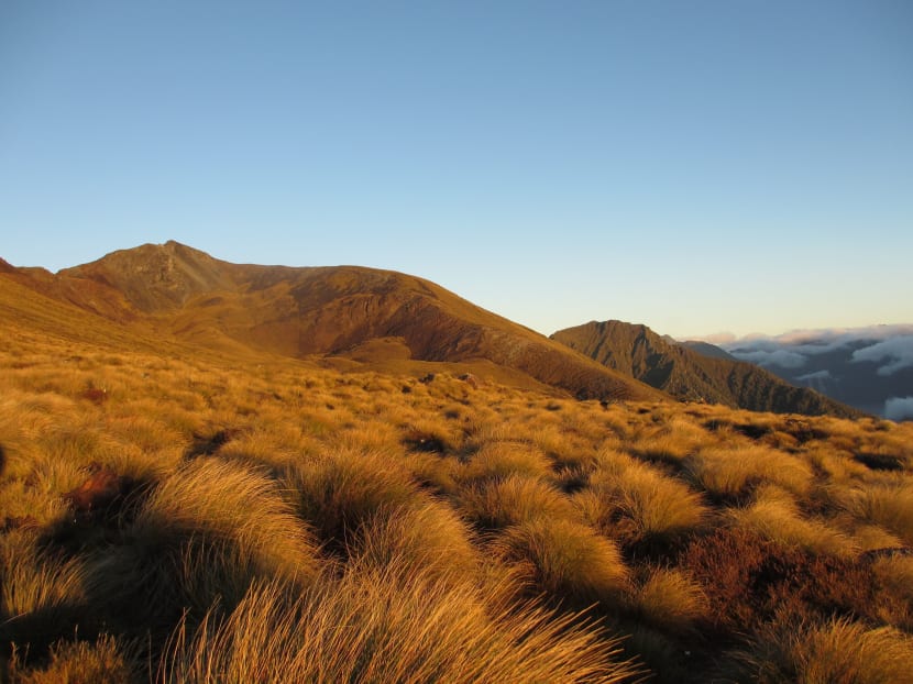 Hiking the Great Walks on New Zealand's rugged South Island