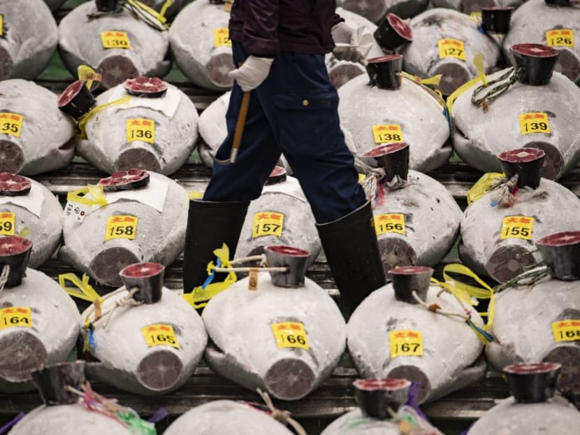 A wholesaler walks along the lined up frozen tuna ahead of the New Year's auction at Toyosu fish market in Tokyo, Japan on Tuesday, Jan 5, 2021.
