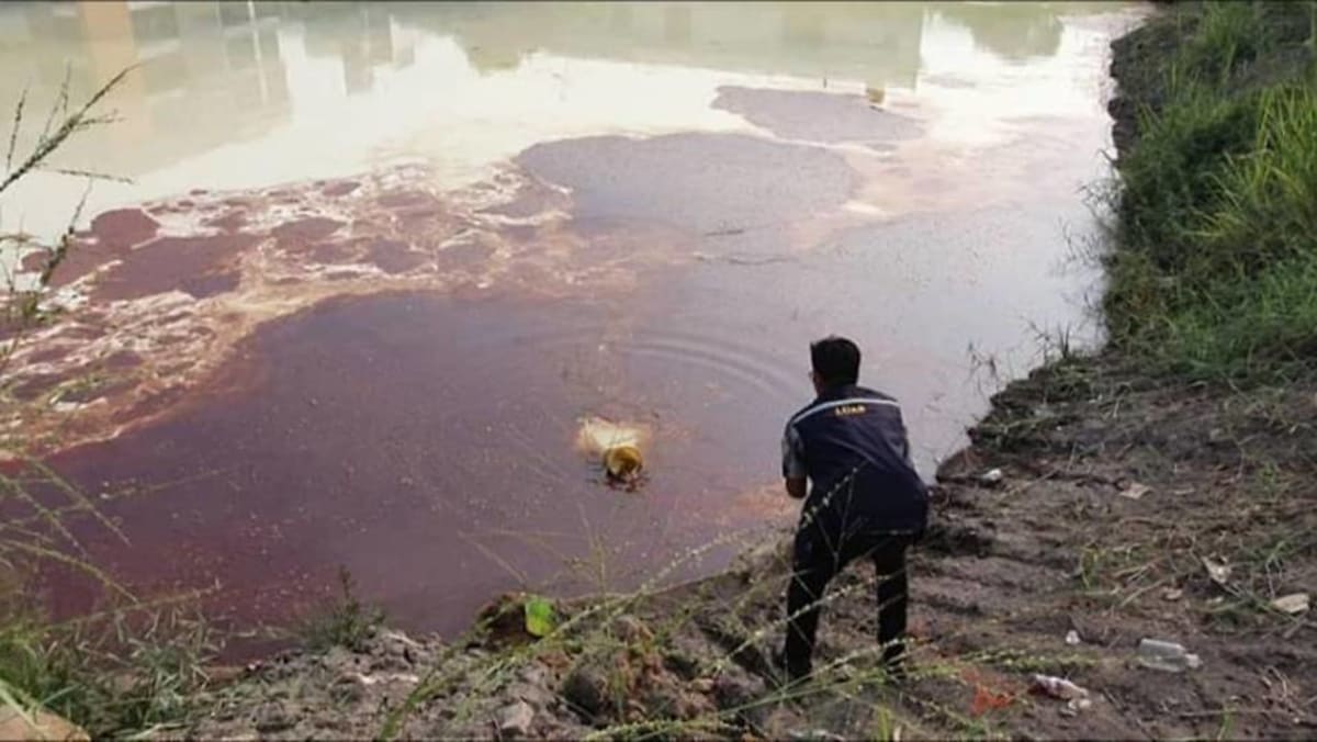 Pollution Detected In Klang River Believed To Be Chemical Waste Cna