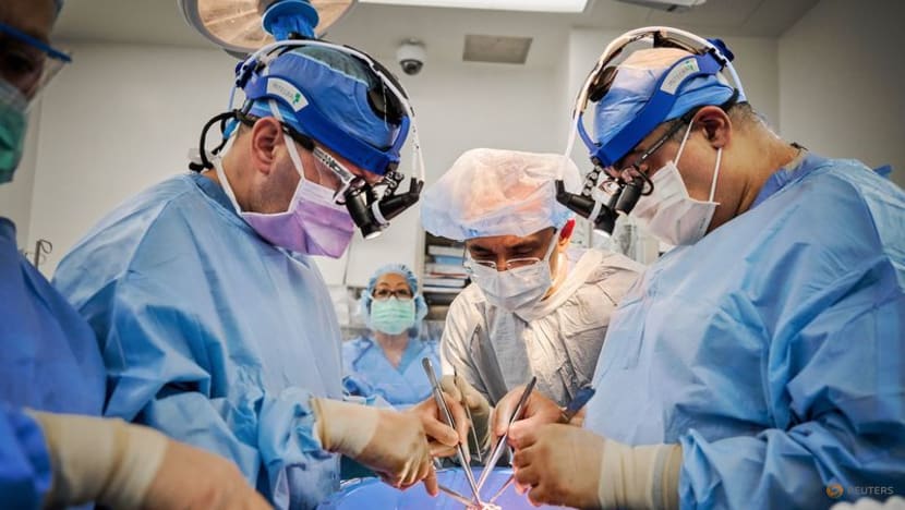 Two pig heart transplants succeed in brain-dead recipients Two pig heart transplants succeed in brain-dead recipients