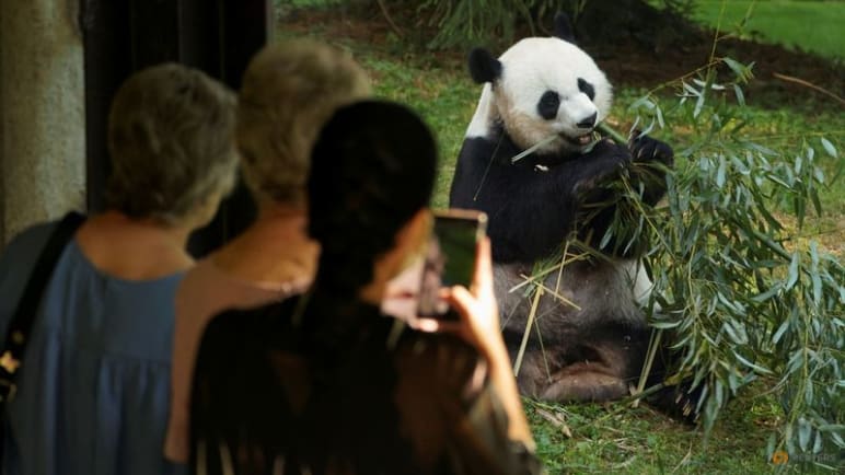 US National Zoo bids farewell to pandas as government shutdown looms 