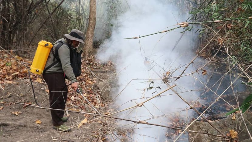 Chiang Mai among world’s most polluted cities as forest fires rage in northern Thailand Chiang Mai among world’s most polluted cities as forest fires rage in northern Thailand