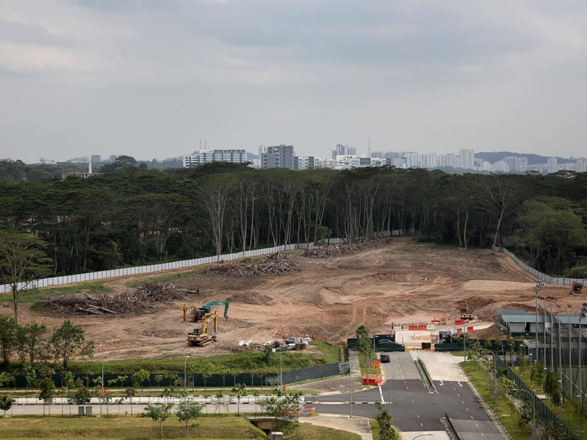 Aerial view shot on Feb 17, 2021, of a forest parcel in Kranji that JTC said its contractor had “erroneously” begun deforesting before the conclusion of a biodiversity study and an environmental monitoring and management plan.
