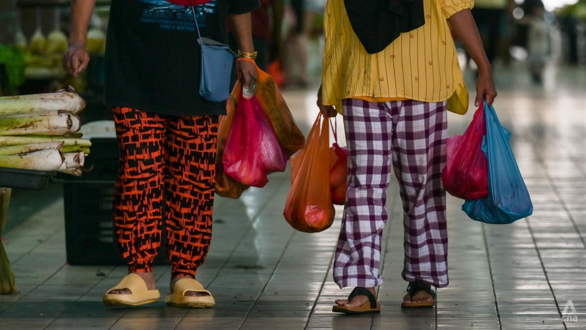 “困难但可行”：马来西亚的目标是到 2025 年禁止使用塑料袋