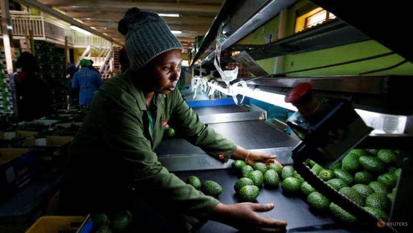 Africa's dream of feeding China hits hard reality Africa's dream of feeding China hits hard reality