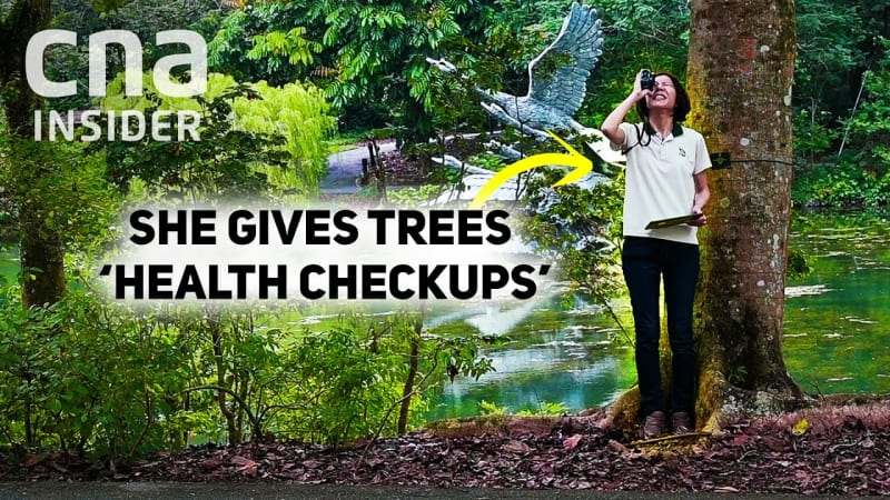 tree doctors