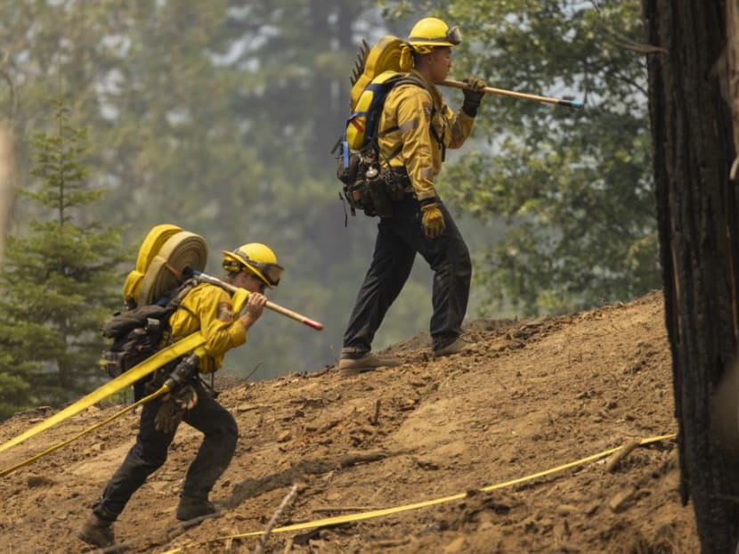 Firefighters lay hoses as they follow bulldozers cutting a fire line atop a hill during the Oak Fire near Mariposa, California on July 25, 2022. Firefighters lay hoses as they follow bulldozers cutting a fire line atop a hill during the Oak Fire near Mariposa, California on July 25, 2022. 