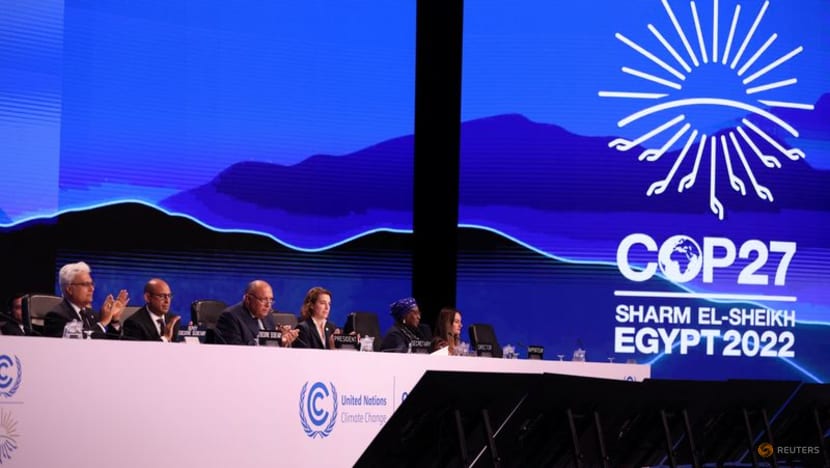 Countries agree on 'loss and damage' fund in overnight session to approve COP27 deal