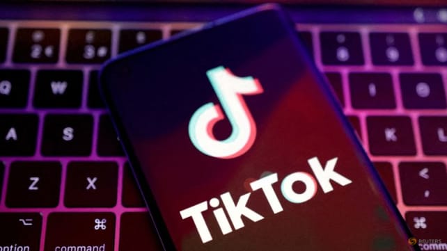 Commentary: US law that could ban TikTok has a logic problem