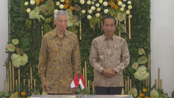 'Present leadership to the next': Singapore, Indonesia hope for continuity in bilateral ties