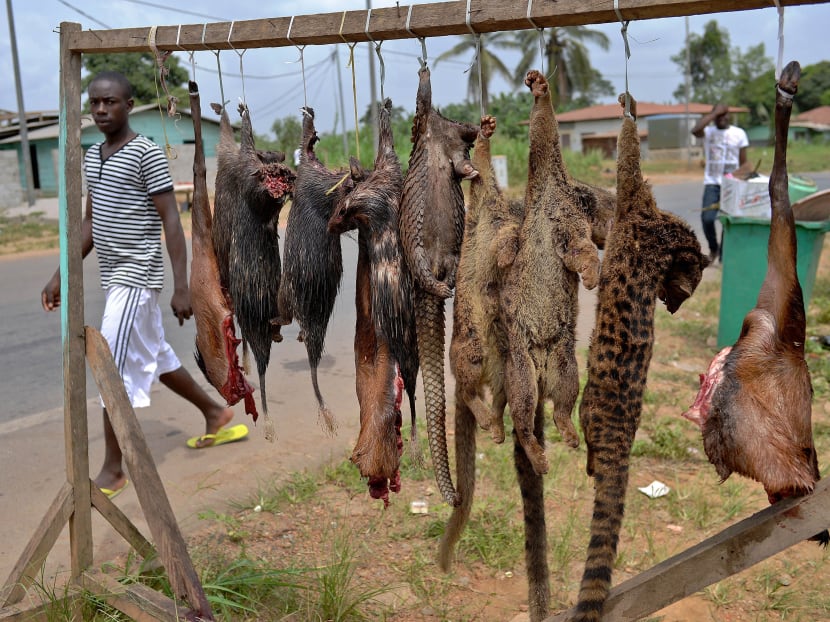 A man walks past bushmeat including pangolins, bush rats and tiger cats for sale on the roadside in Equatorial Guinea. Photo: AFP