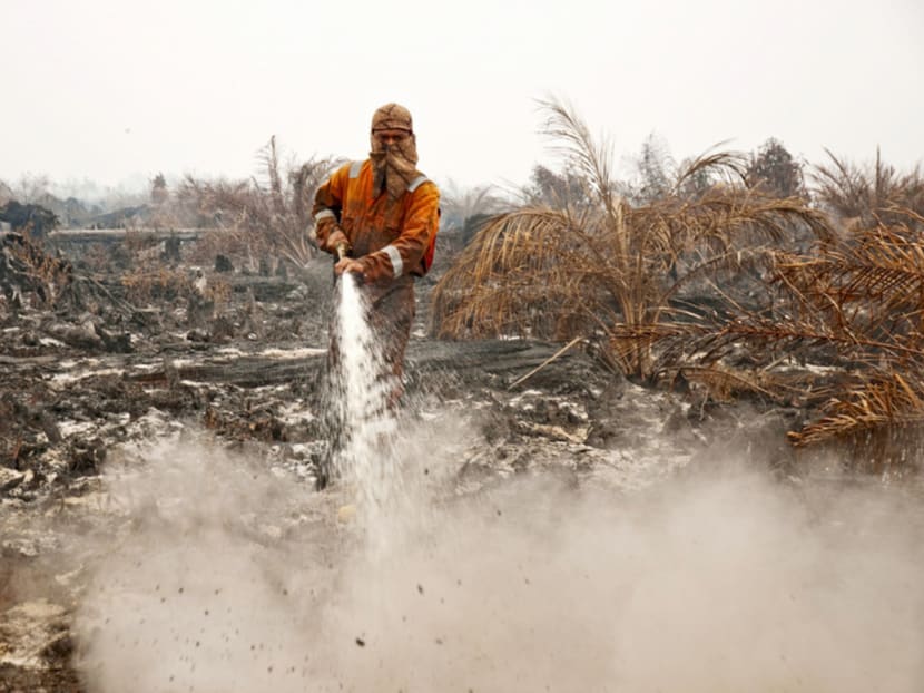 A firefighter tries to extinguish a peatland fire in a palm oil plantation in Pelalawan, Riau province, on Sumatra. The topic of fire management will feature at international talks on reducing carbon emissions.

PHOTO: REUTERS