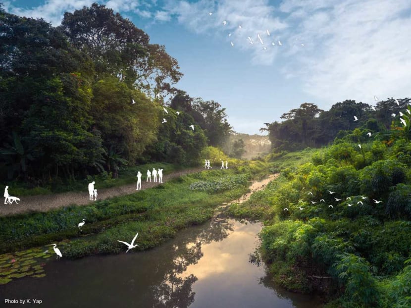 An artist's impression of the upcoming Clementi Nature Trail, using a photograph by K Yap, along Clementi Forest stream.