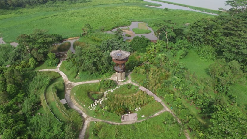 Sungei Buloh Nature Park Network to be established, includes new Lim Chu Kang Nature Park Sungei Buloh Nature Park Network to be established, includes new Lim Chu Kang Nature Park