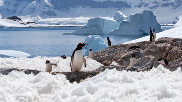 Explore exotic destinations such as Antarctica, Colombia and South Africa at this luxury travel fair