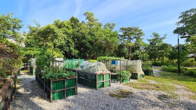 本地多座公园再开放190多个花床 供公众申请租用 - 8world