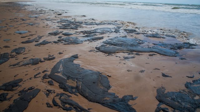 新韩研发可生物降解海绵 或解决海洋石油污染问题