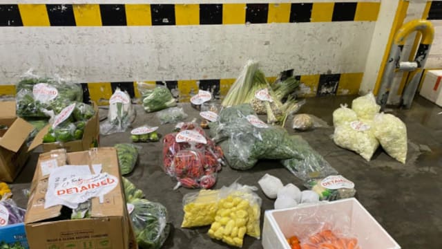 本地公司非法进口未申报蔬果 被罚款5000元