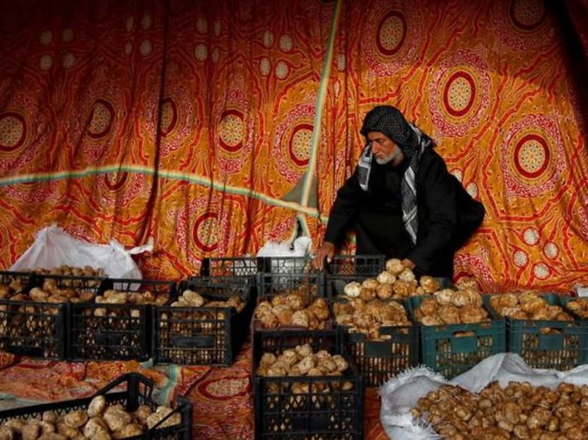 'A blessing from God': Iraqi truffle hunters unearth desert harvest 'A blessing from God': Iraqi truffle hunters unearth desert harvest