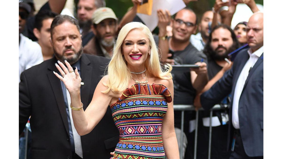 Gwen Stefani was offered Elastic Heart by Sia - 8days