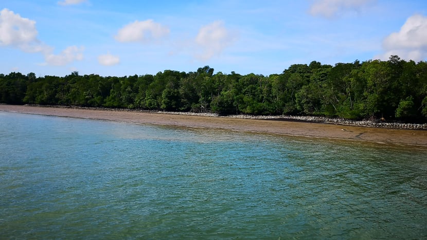 Coastal protection projects to build resilience of Singapore’s coastlines at Pulau Ubin Coastal protection projects to build resilience of Singapore’s coastlines at Pulau Ubin