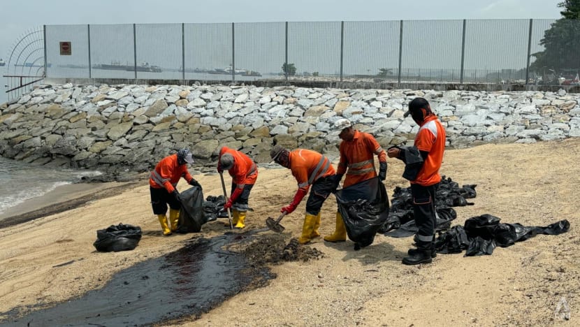Local fish remain safe to eat,