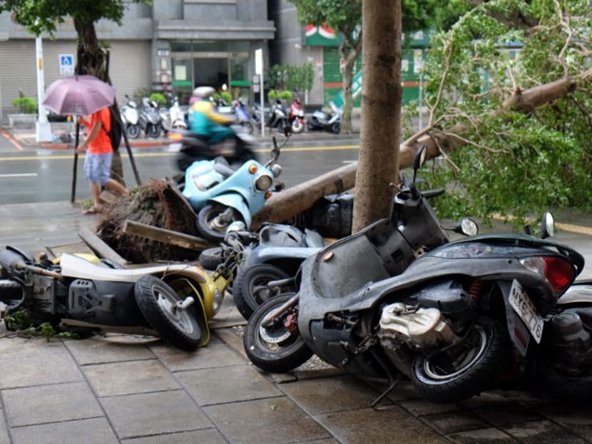 Scooters lie piled up against a uprooted tree caused by strong winds of typhoon Megi at Xindian district in New Taipei City, Taiwan, on Sept. 28, 2016. Photo: AFP