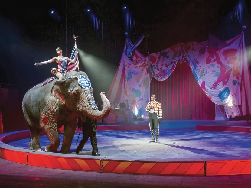 Ringling Bros says circuses to be elephant-free in 3 years