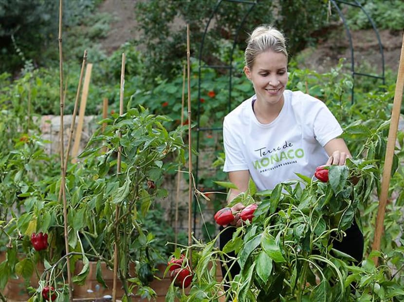Is green the new glam? How tiny, rich Monaco is tackling sustainable tourism Is green the new glam? How tiny, rich Monaco is tackling sustainable tourism