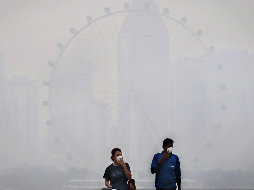 Indonesia ‘making progress’ on tackling haze Indonesia ‘making progress’ on tackling haze