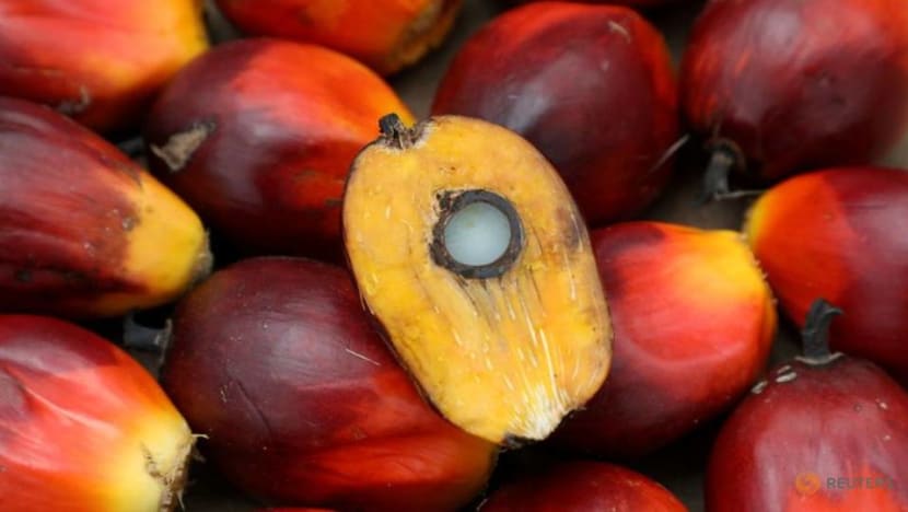 Malaysian palm giant IOI faces labour abuse allegations in new report Malaysian palm giant IOI faces labour abuse allegations in new report