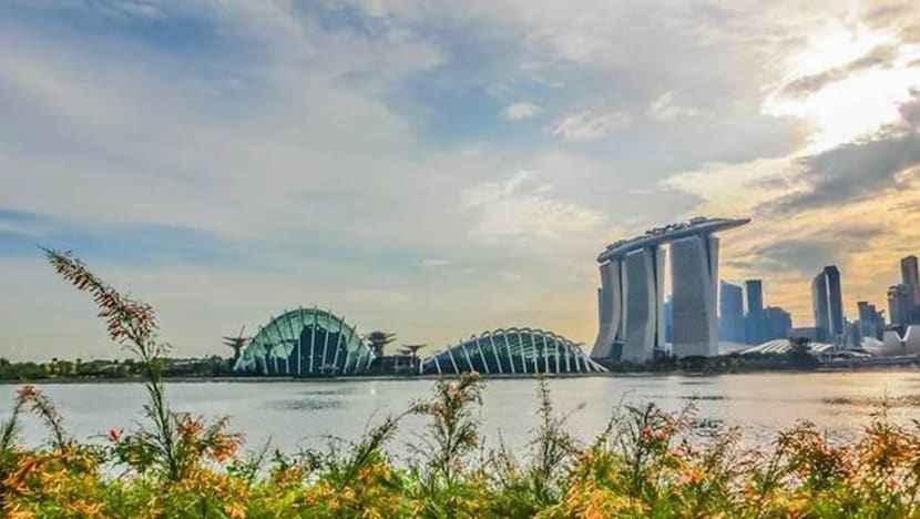 Pelan Hijau 2030 manfaatkan 'pengaruh pemerintah dengan lebih konkrit' Pelan Hijau 2030 manfaatkan 'pengaruh pemerintah dengan lebih konkrit'