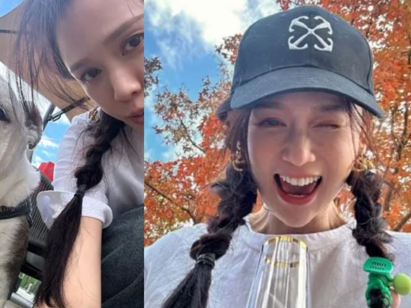 Taiwanese actress Joe Chen slammed for speaking out for stray animals after vicious dog attacks in China