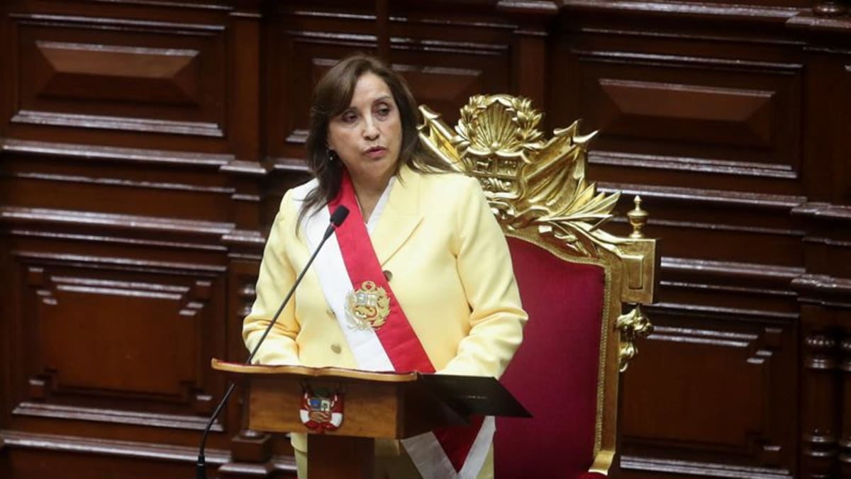 Presiden Peru mendukung penyelidikan atas kematian akibat protes