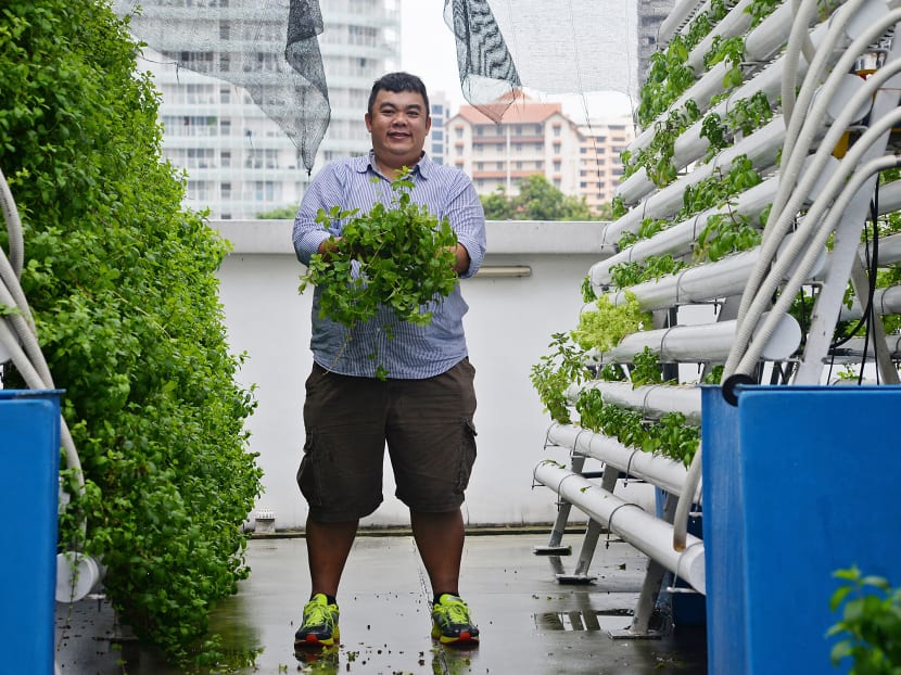 Farming, one rooftop at a time