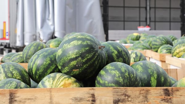 Developers let Chinese farmers pay for homes with watermelons