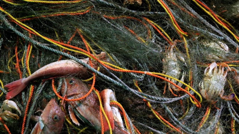 20230707 reuters seafood