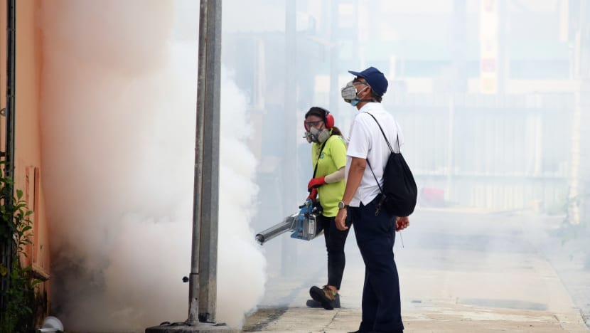 Singapore may have access to new dengue vaccine in about a year, says veteran infectious diseases expert Singapore may have access to new dengue vaccine in about a year, says veteran infectious diseases expert