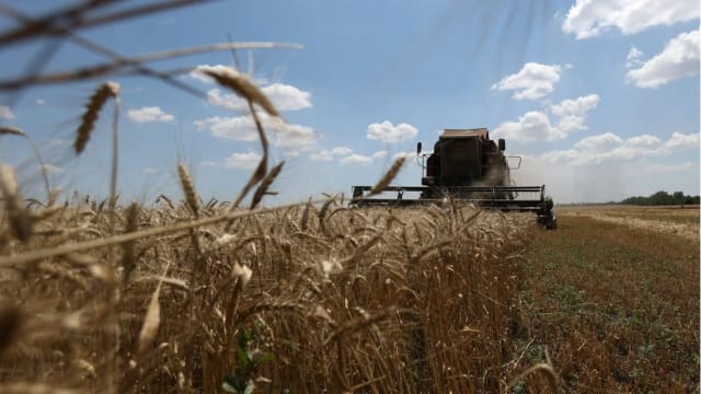 俄罗斯承诺为非洲六国免费提供数万吨粮食