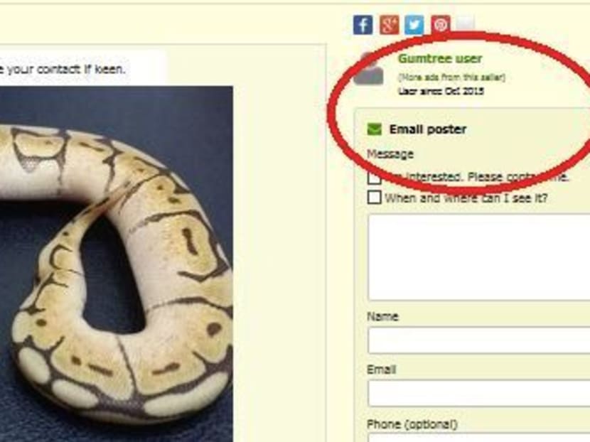 Illegal pet advertisements rife on online platforms: ACRES Illegal pet advertisements rife on online platforms: ACRES