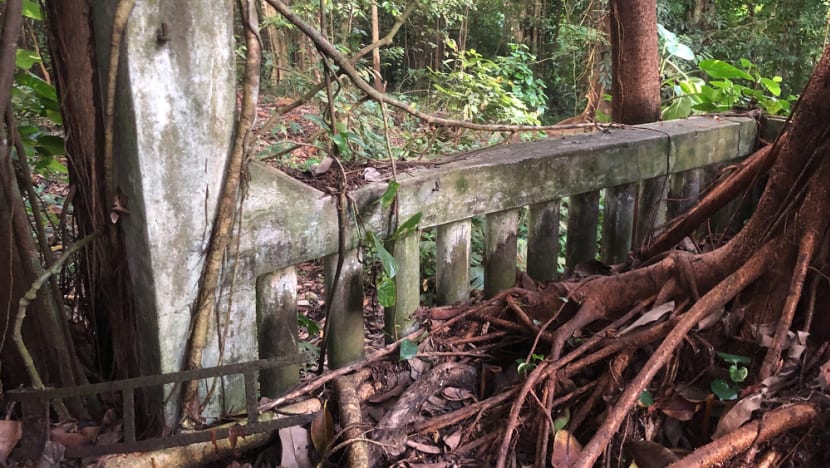 Woman who died after Upper Bukit Timah hike was crushed by concrete slab while taking photo: Coroner