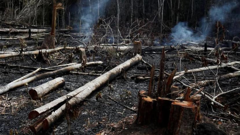 Amazon fires: How celebrities are spreading disinformation Amazon fires: How celebrities are spreading disinformation