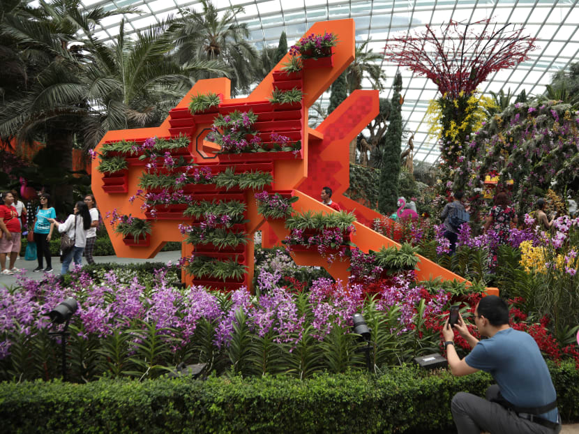 Giant ‘SingaPop’ floral displays, free shows at Gardens by the Bay in August