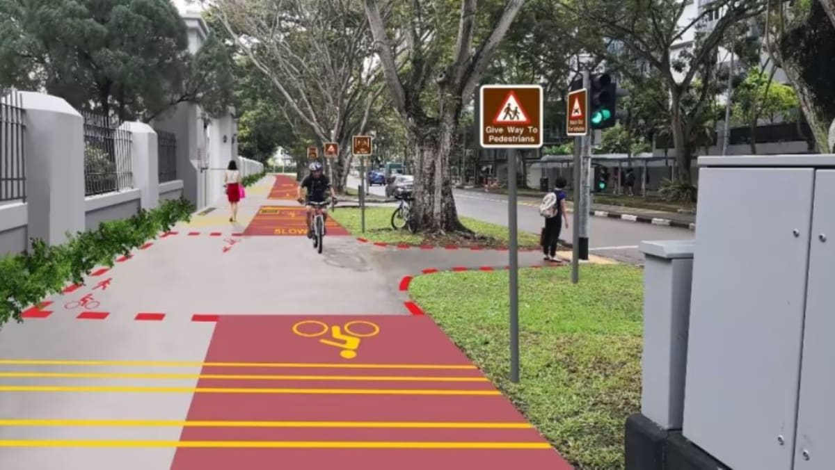Toa bike lane top