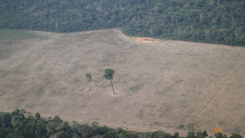 Deforestation in Brazil's Amazon skyrockets to 12-year high under Bolsonaro Deforestation in Brazil's Amazon skyrockets to 12-year high under Bolsonaro