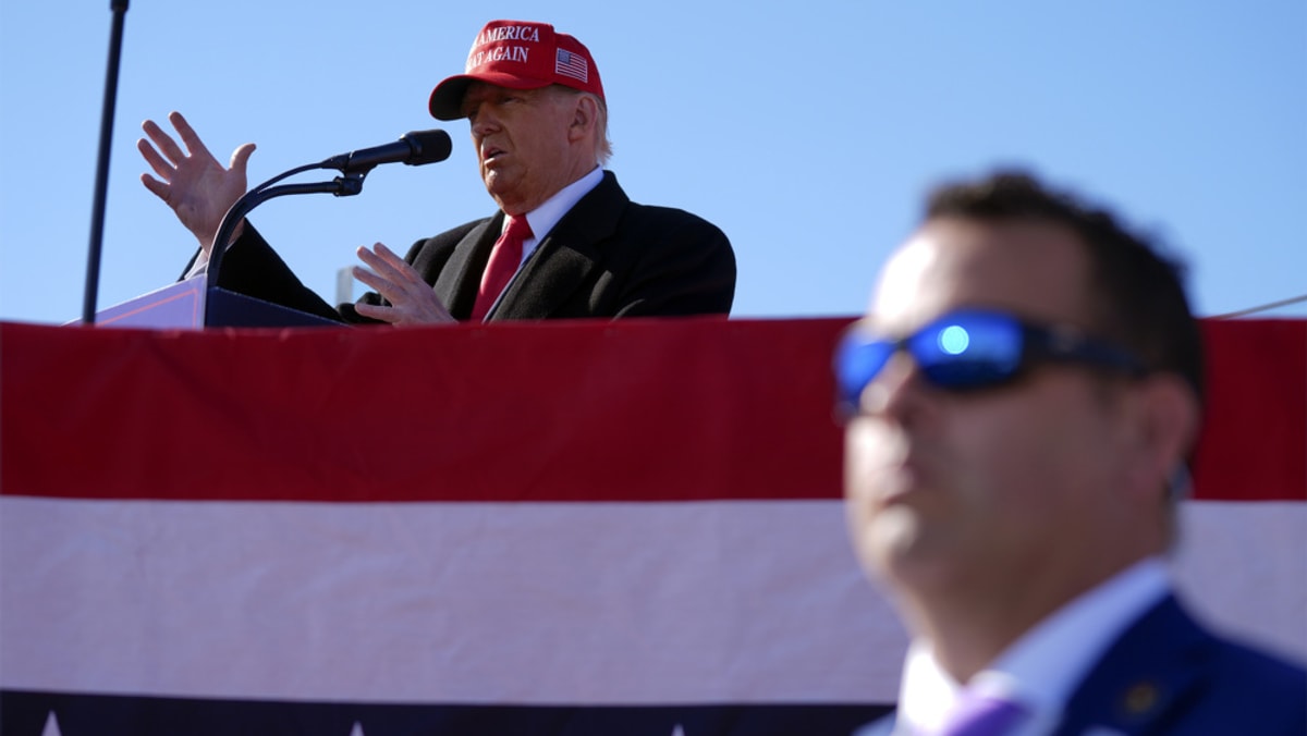 Harris and Trump hit battleground states in days before US presidential election