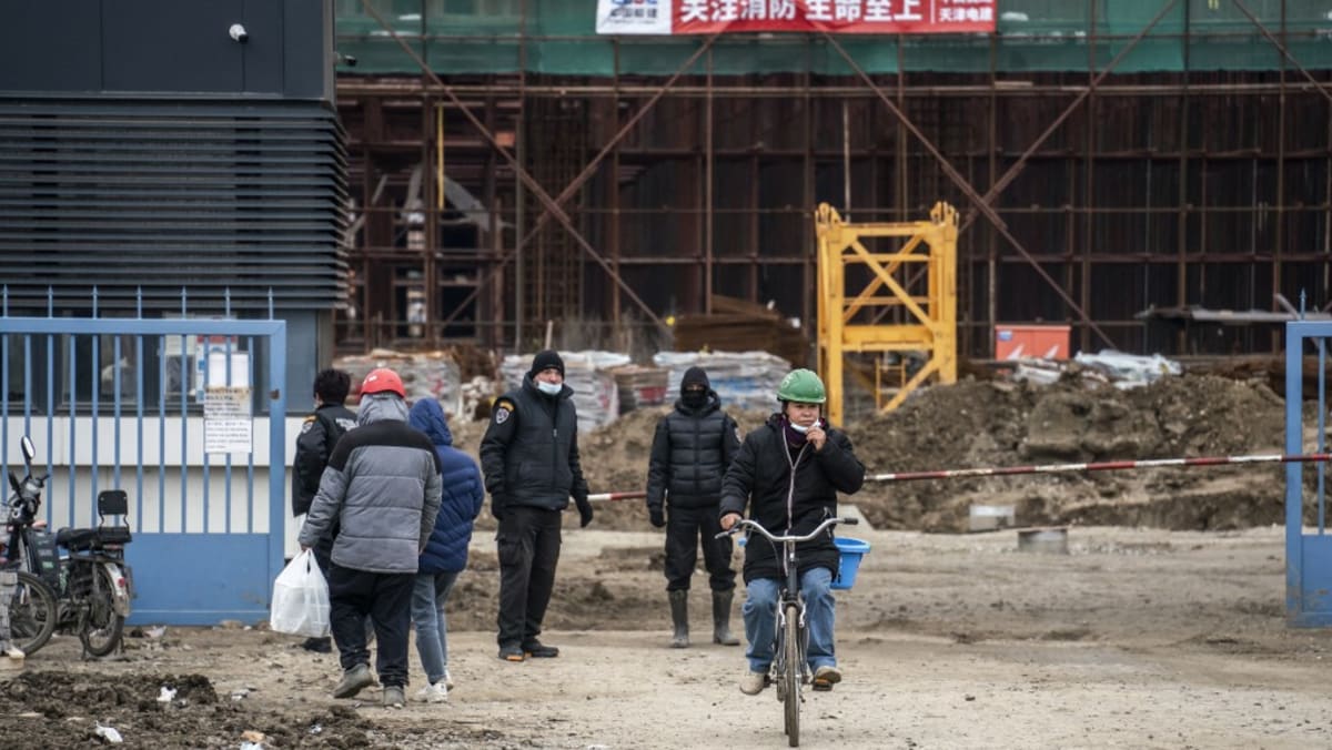 Protes menyoroti pabrik-pabrik China di Serbia