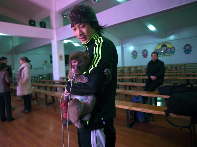 Gallery: China school sees monkey business in New Year