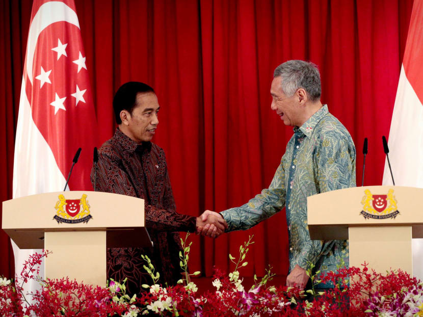 Prime Minister Lee Hsien Loong and Indonesia's President Joko Widodo at the Istana. Photo: Jason Quah/TODAY